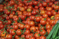 أزمة أسعار الطماطم في إسرائيل تتفاقم وسط دعوات لتجنب الشراء